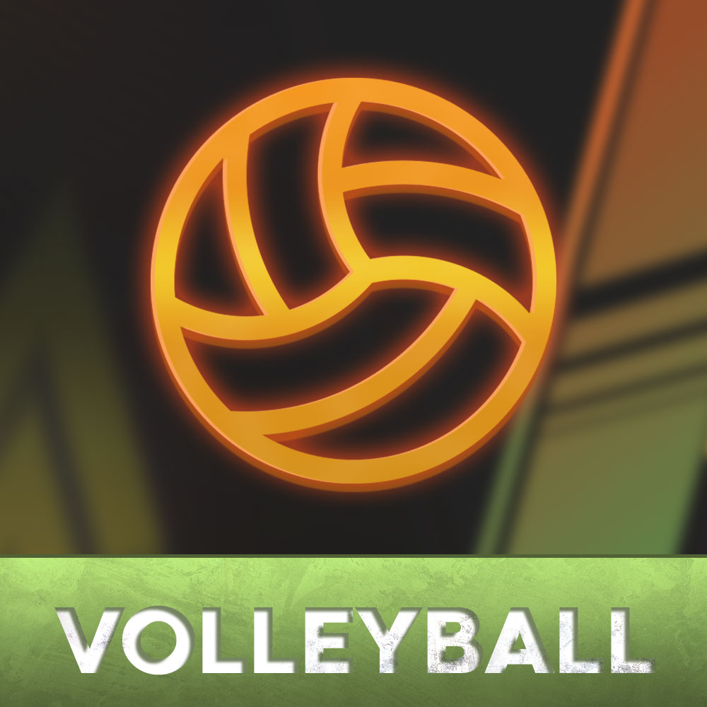 Volleyball market on the melbet betting platform.